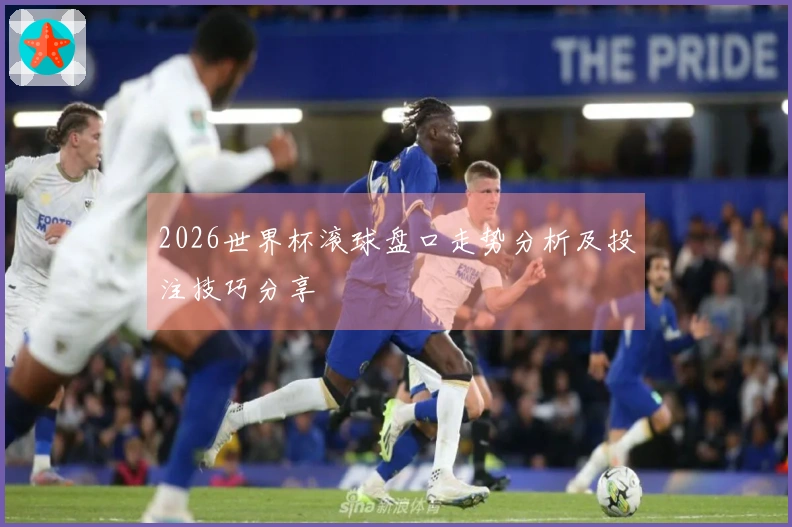 2026世界杯滚球盘口走势分析及投注技巧分享