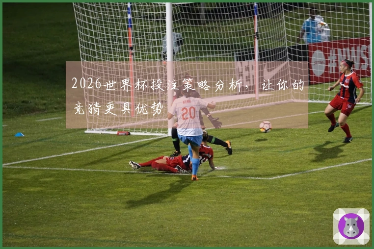 2026世界杯投注策略分析，让你的竞猜更具优势