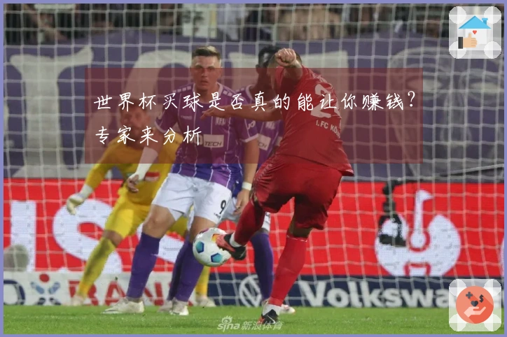 世界杯买球是否真的能让你赚钱？专家来分析