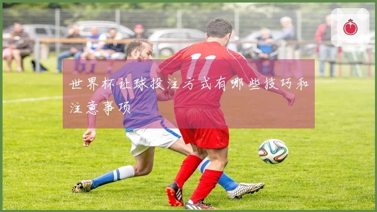 世界杯让球投注方式有哪些技巧和注意事项