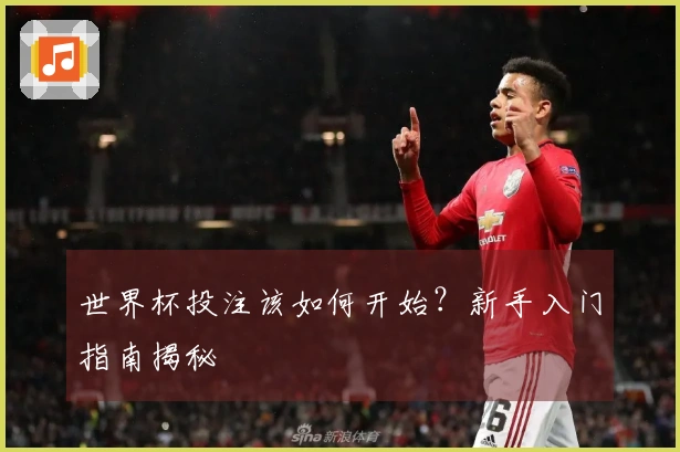 世界杯投注该如何开始？新手入门指南揭秘