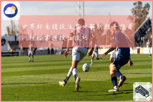世界杯竞猜投注盘口解析新手指南，轻松掌握投注技巧