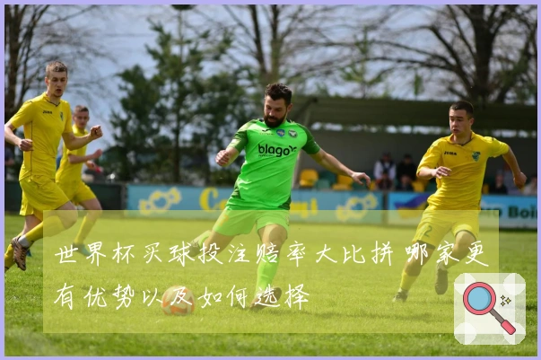 世界杯买球投注赔率大比拼 哪家更有优势以及如何选择