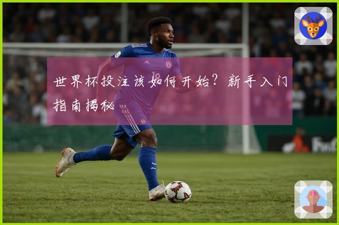 世界杯投注该如何开始？新手入门指南揭秘