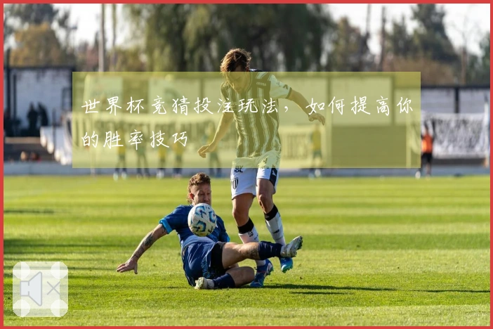 世界杯竞猜投注玩法，如何提高你的胜率技巧