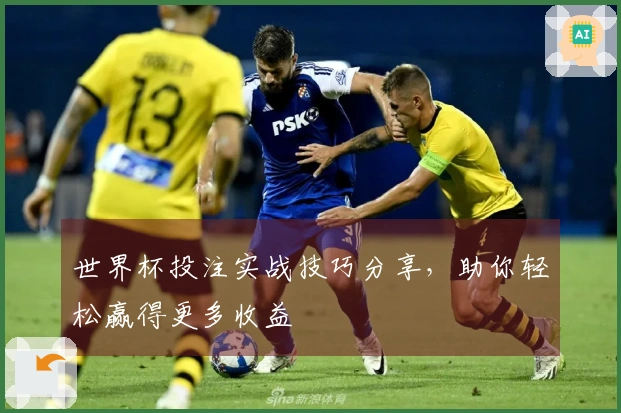 世界杯投注实战技巧分享，助你轻松赢得更多收益
