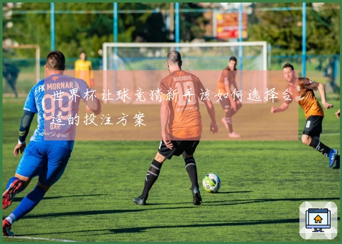 世界杯让球竞猜新手该如何选择合适的投注方案