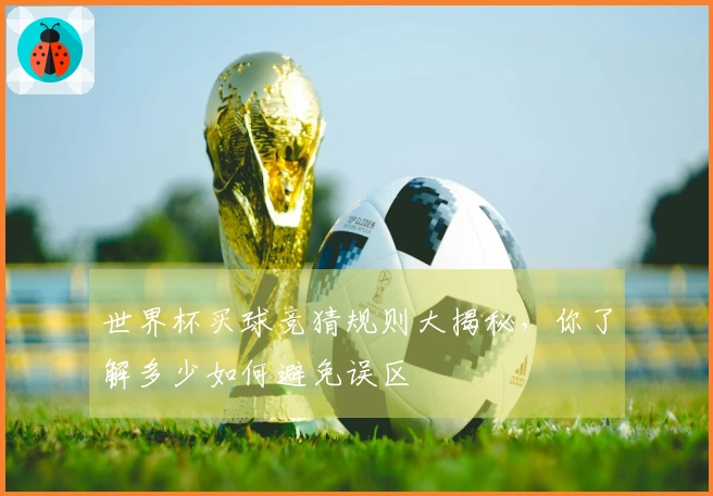 世界杯买球竞猜规则大揭秘，你了解多少如何避免误区