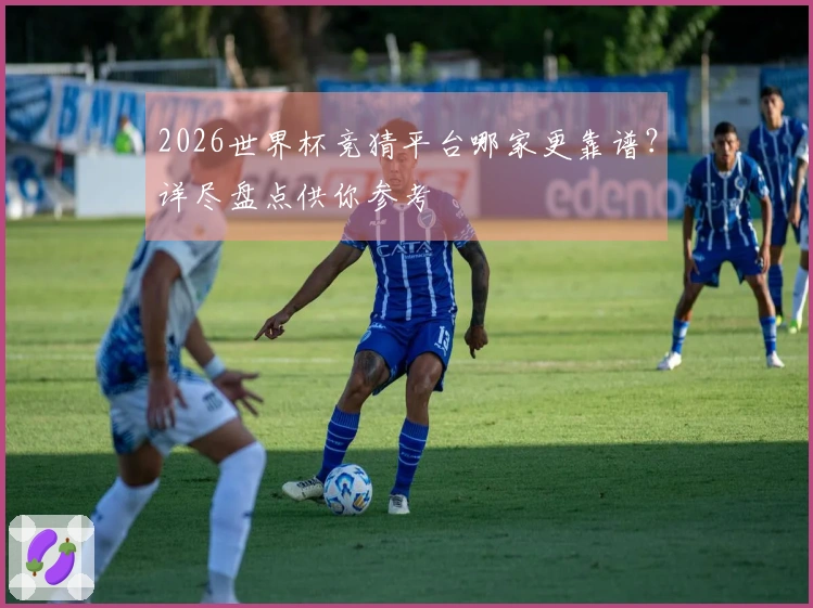 2026世界杯竞猜平台哪家更靠谱？详尽盘点供你参考